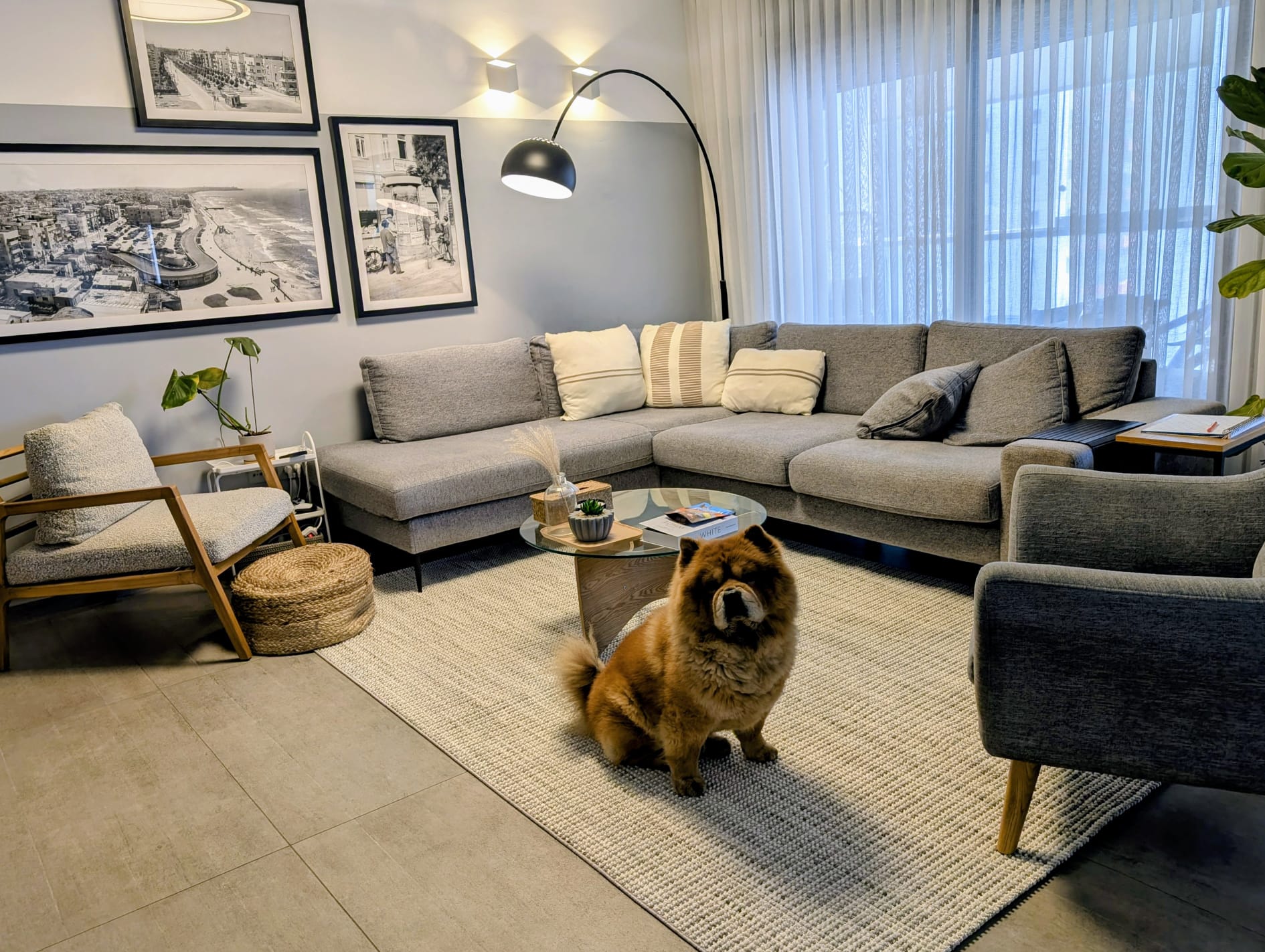 שטיח לולאות אפור