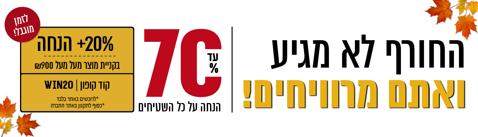 מבצע שטיחים